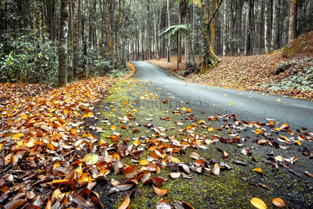 Similar – Image, Stock Photo In-between time
