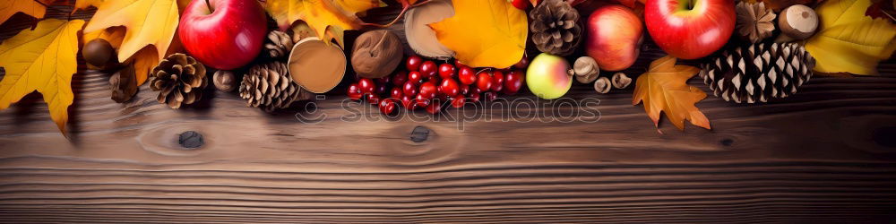 Similar – Image, Stock Photo hang out Hammock Rope