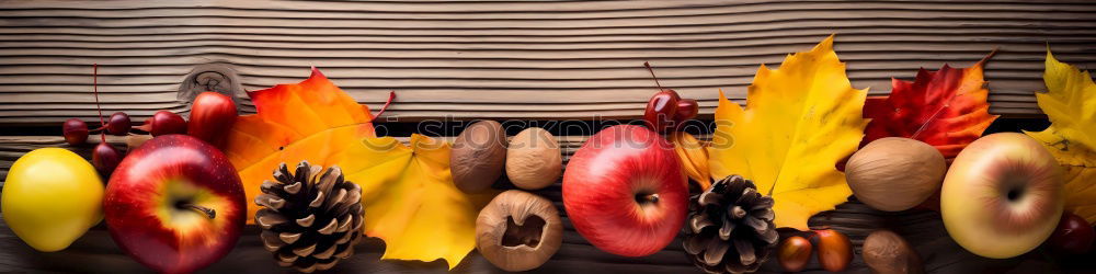 Similar – Image, Stock Photo naptime Woman Sleep Siesta