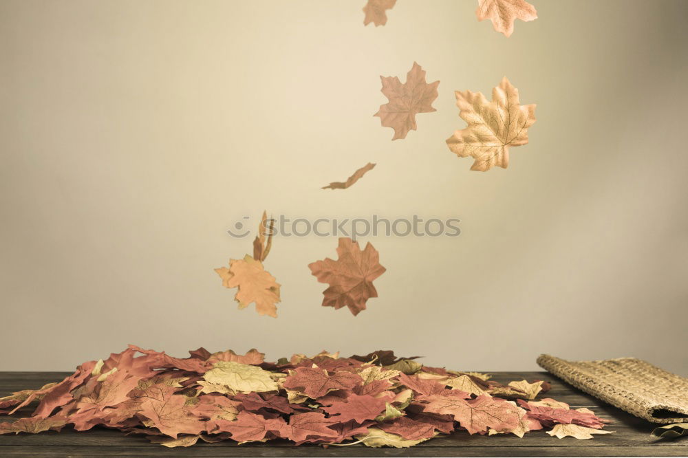 Similar – Image, Stock Photo autumnal greetings with envelope, leaves and fruits