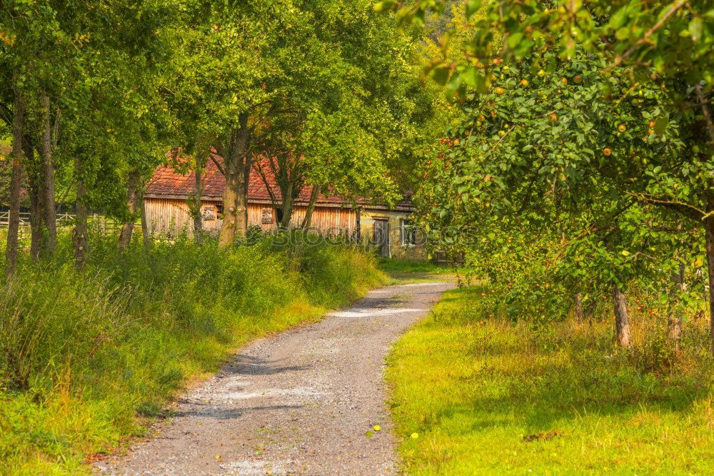 Similar – Am Bodden Umwelt Natur