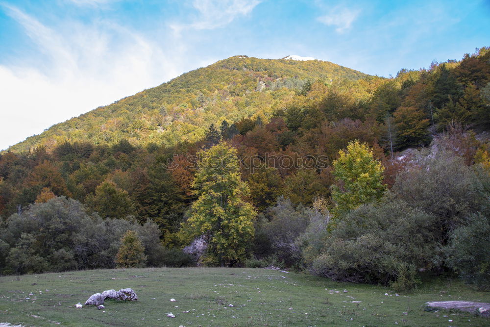 Similar – Image, Stock Photo Small house in forest