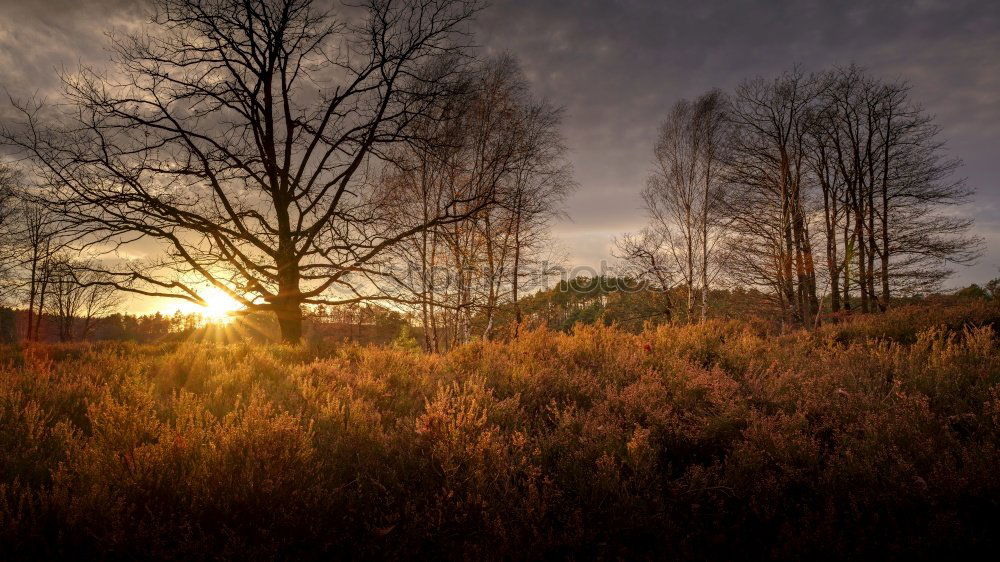 Similar – Image, Stock Photo terrain Environment Nature