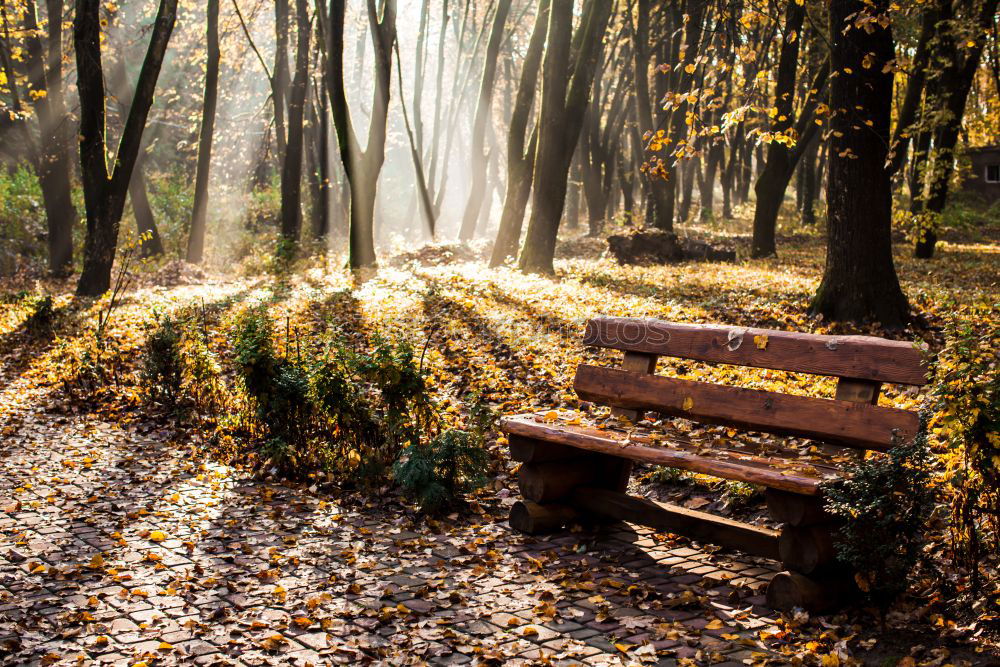 Similar – Image, Stock Photo long bank. Calm