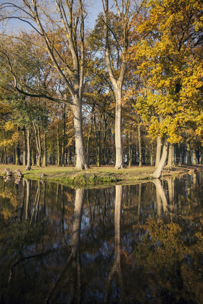 Similar – Image, Stock Photo wet feet Environment