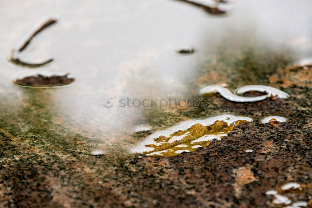 Similar – Image, Stock Photo The window to spring