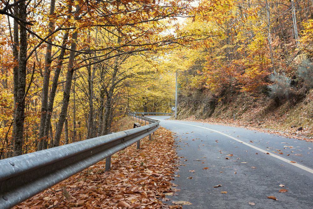 Similar – Image, Stock Photo autumn street Environment