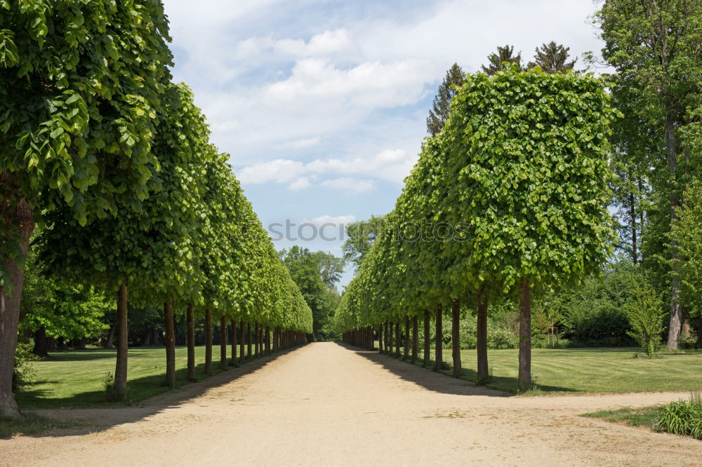 Similar – Image, Stock Photo Karlsruhe: Karl is gone!