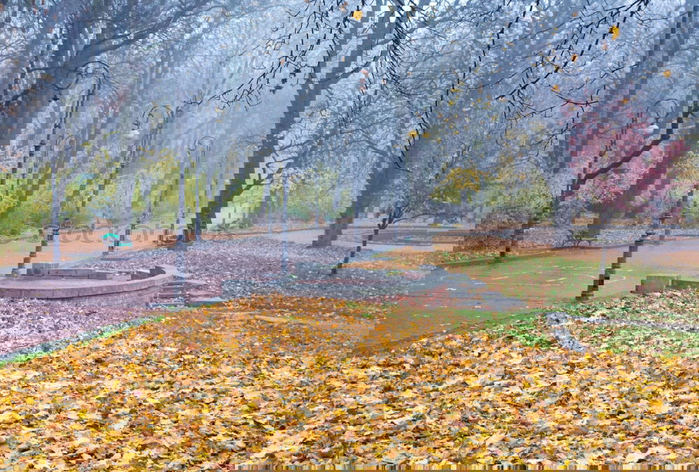 Similar – Image, Stock Photo autumn Nature Plant Autumn