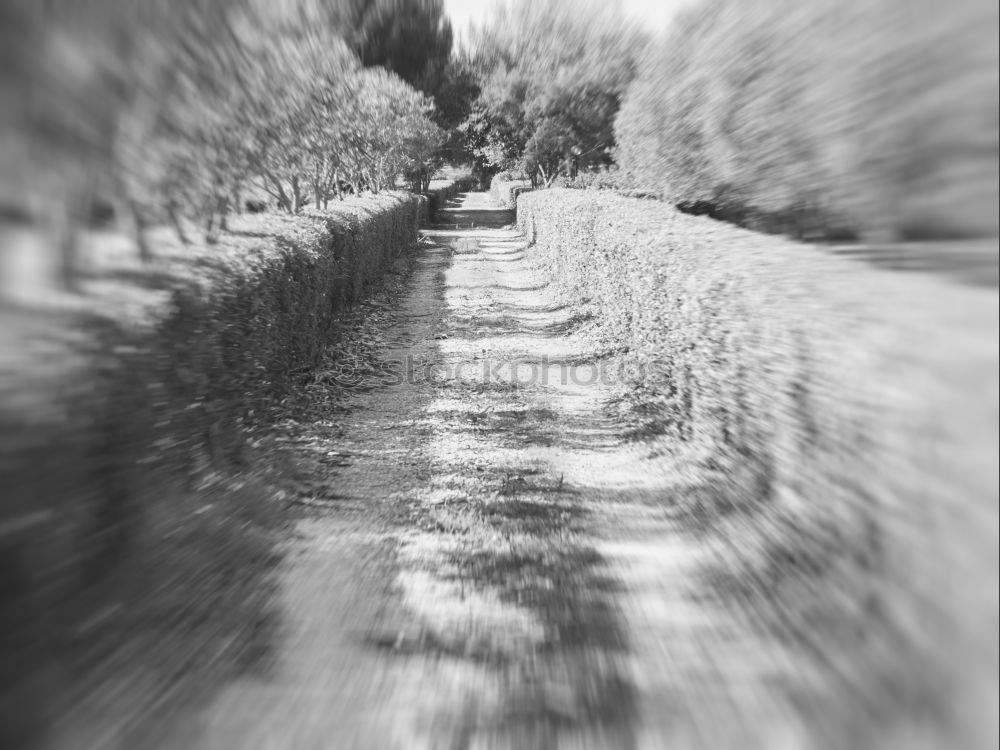 Similar – Image, Stock Photo bridge Deserted Bridge