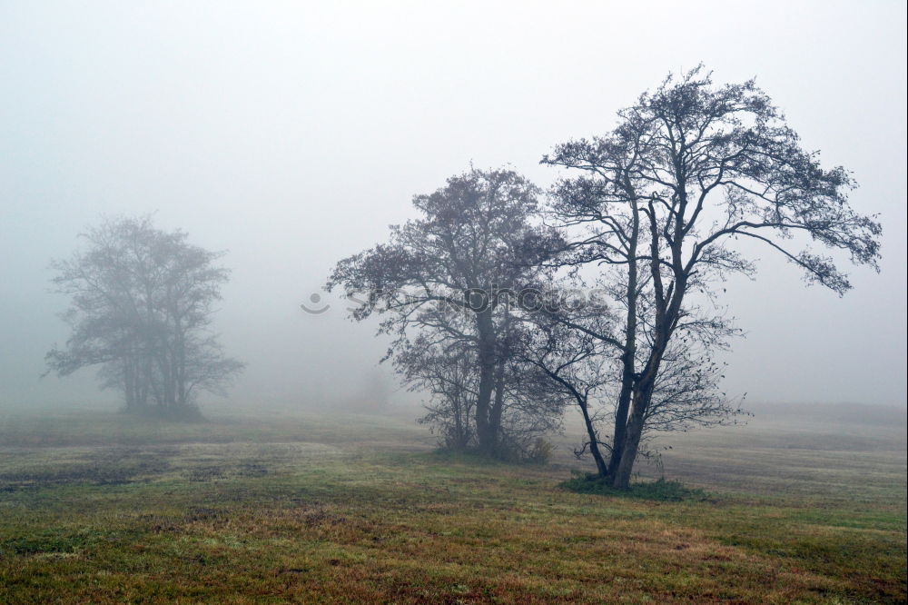 Similar – Image, Stock Photo what a beautiful day Fog