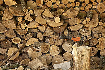 Similar – Image, Stock Photo Quite a lot of wood in front of the hut