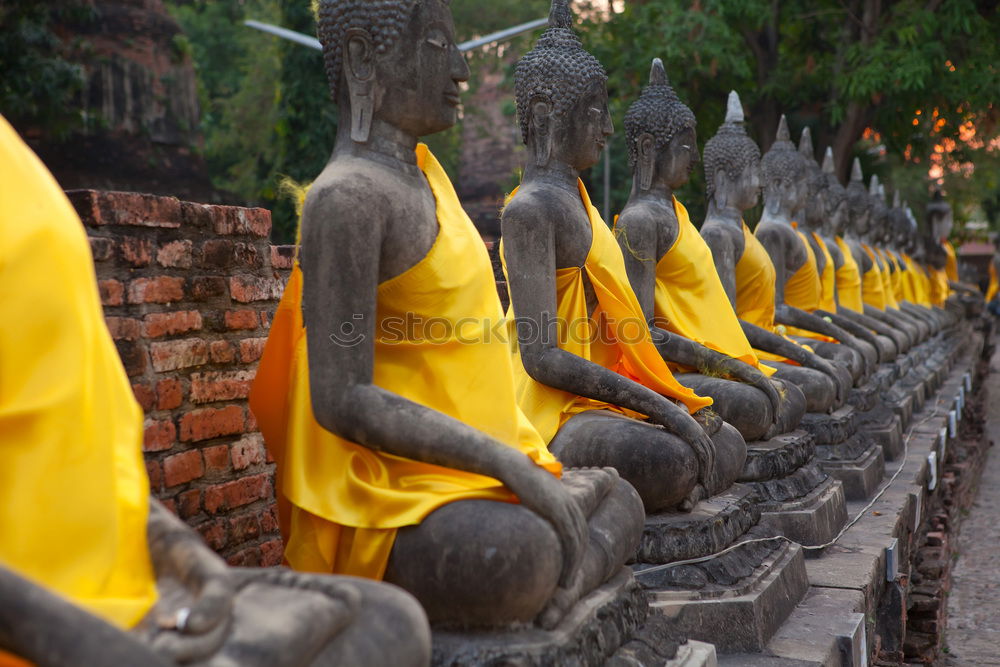 Similar – Image, Stock Photo golden statues in 1000 Buddhas Temple in Hong Kong.