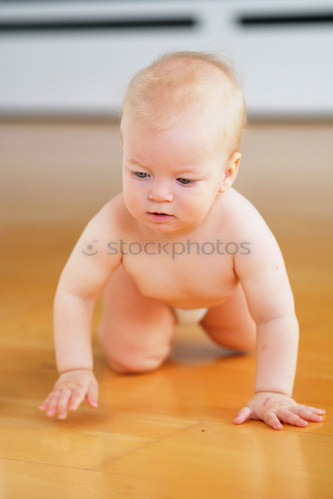 Similar – Image, Stock Photo A cute little girl in chef’s hat sitting on the kitchen floor soiled with flour, playing with food, making a mess and having fun