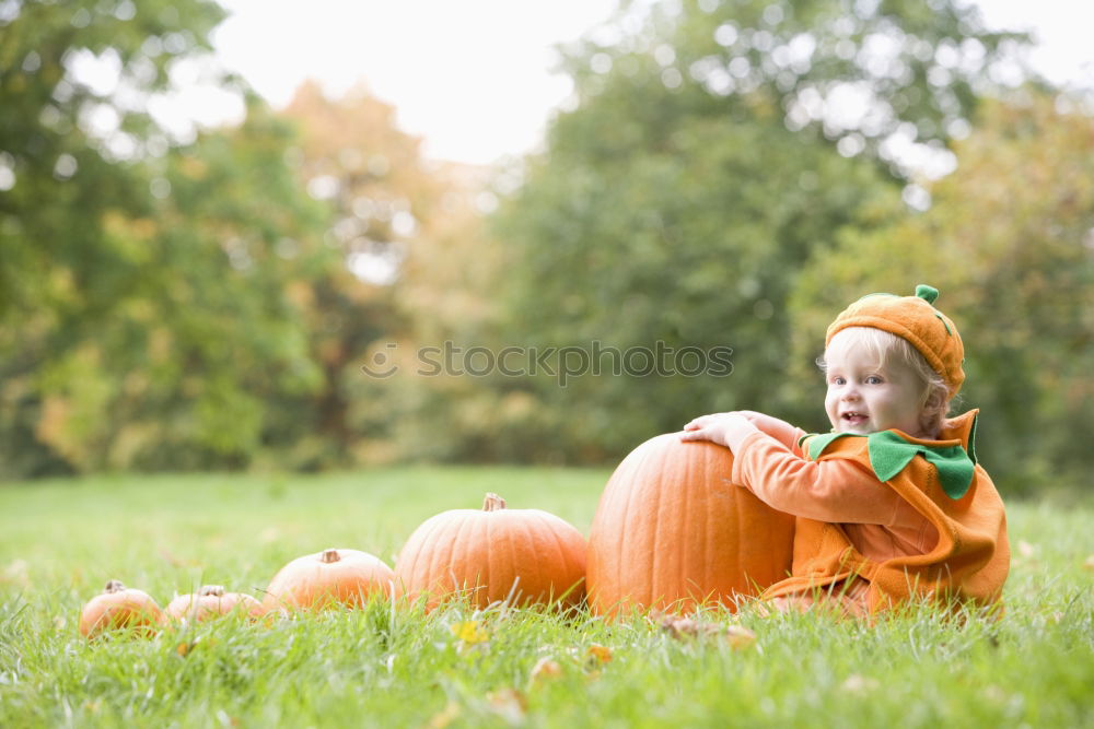 Similar – Image, Stock Photo Adorable girl todler embracing pumpkins on an autumn field