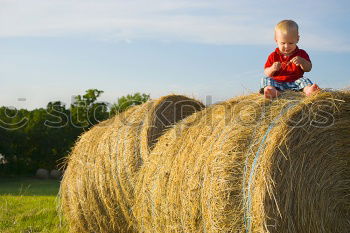 Similar – Brothers playing in the field.Children take pictures in the straw field