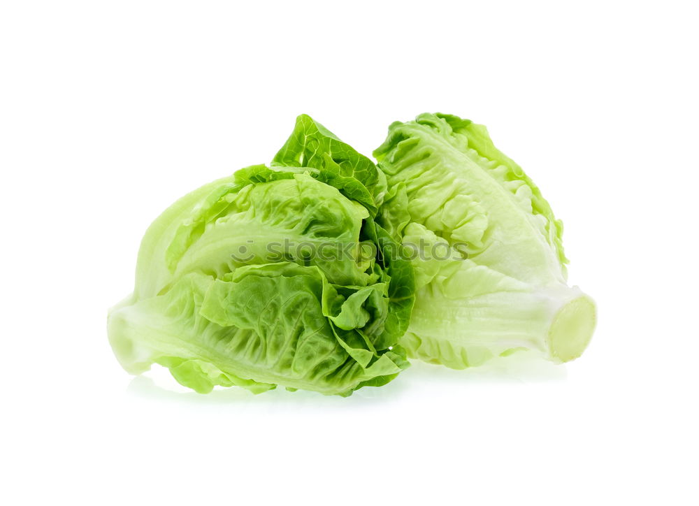 Similar – Baby Pak Choi cabbage on white wooden table