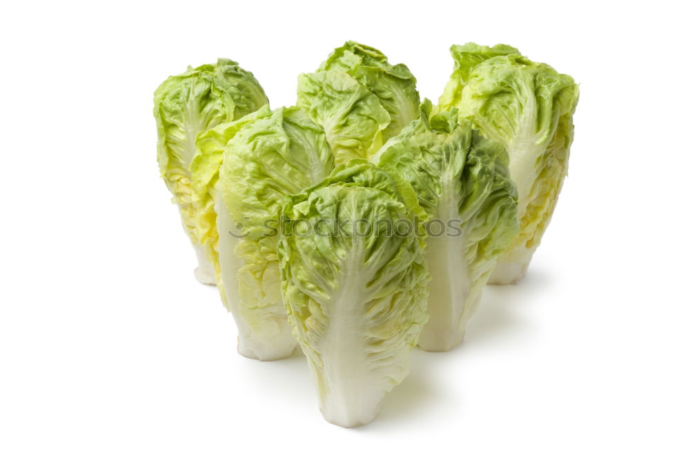 Similar – Baby Pak Choi cabbage on white wooden table