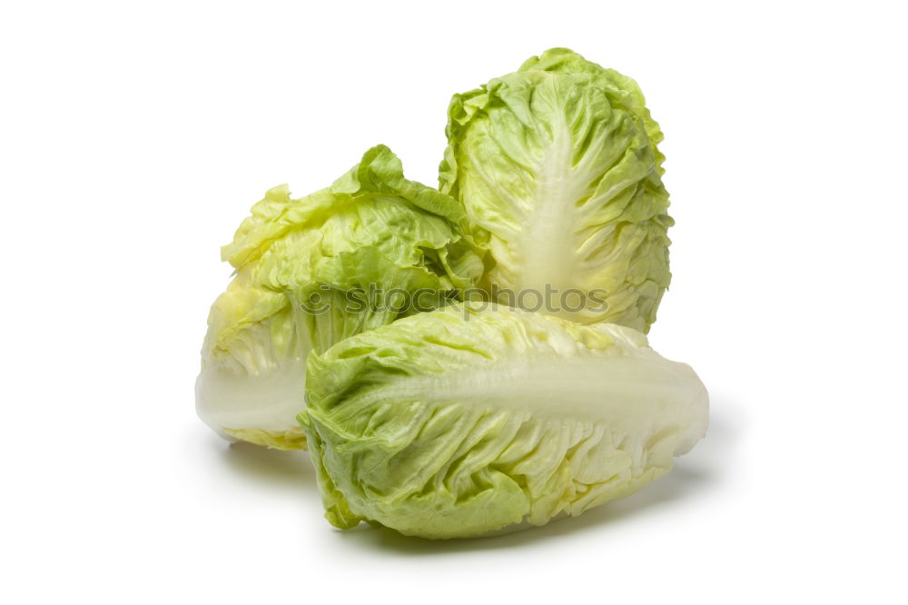 Similar – Baby Pak Choi cabbage on white wooden table