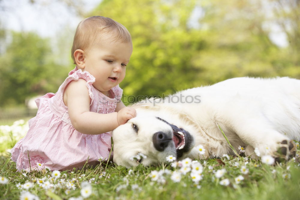 Image, Stock Photo friends Feminine Child