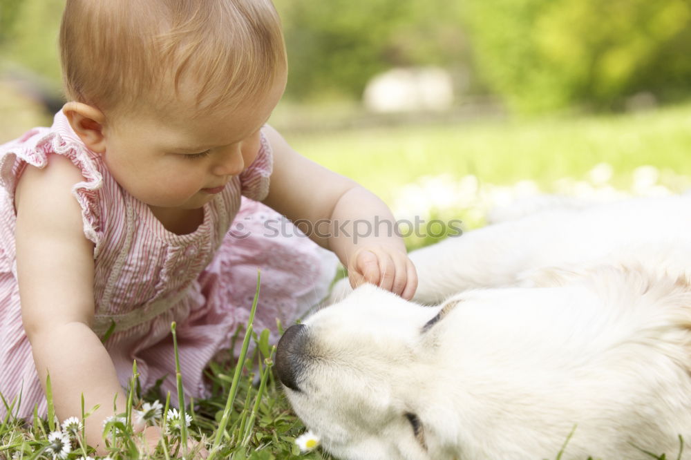 Similar – Image, Stock Photo friends Feminine Child