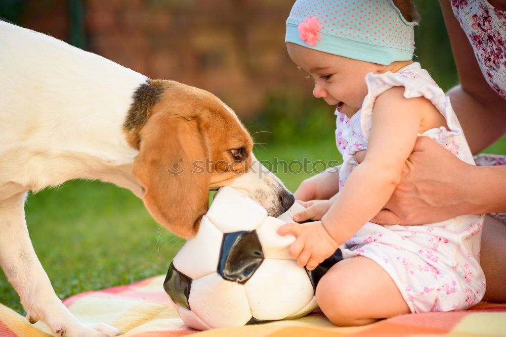 Similar – Little boy sitting with farm chickens