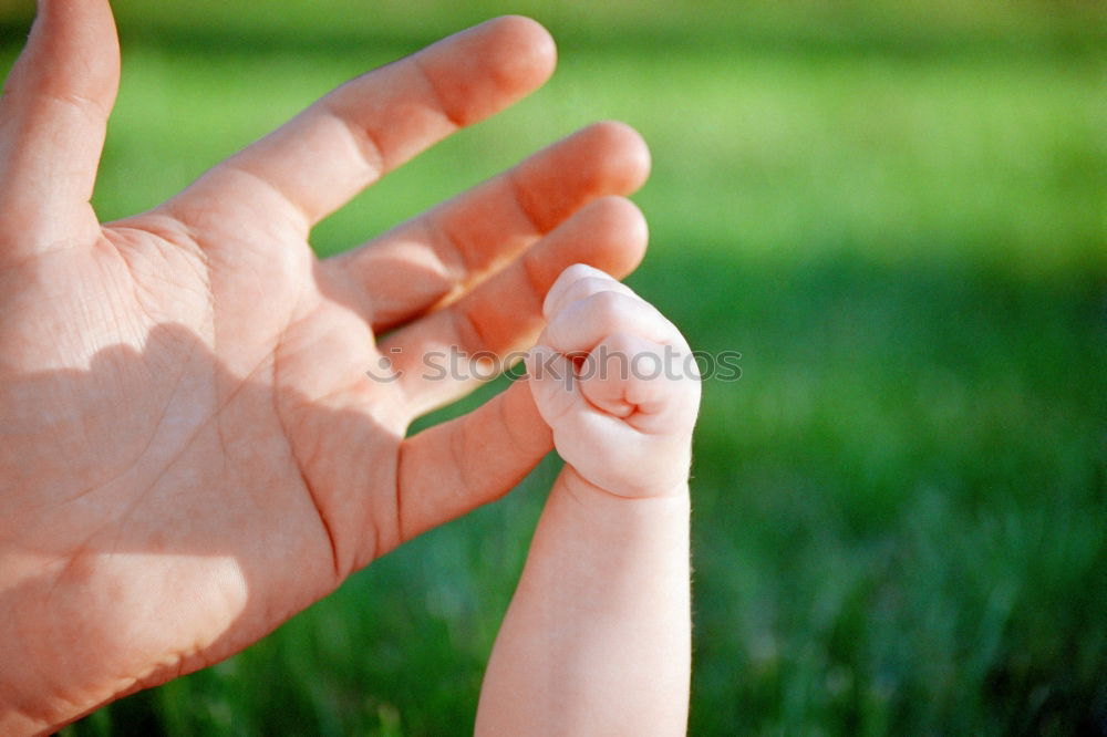 Similar – Child and senior man hands giving five in the nature