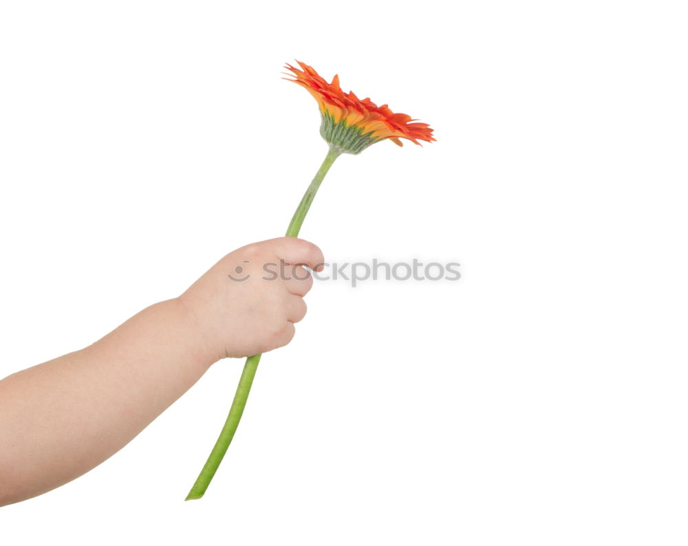 Similar – Woman hold bouquet of origami flowers