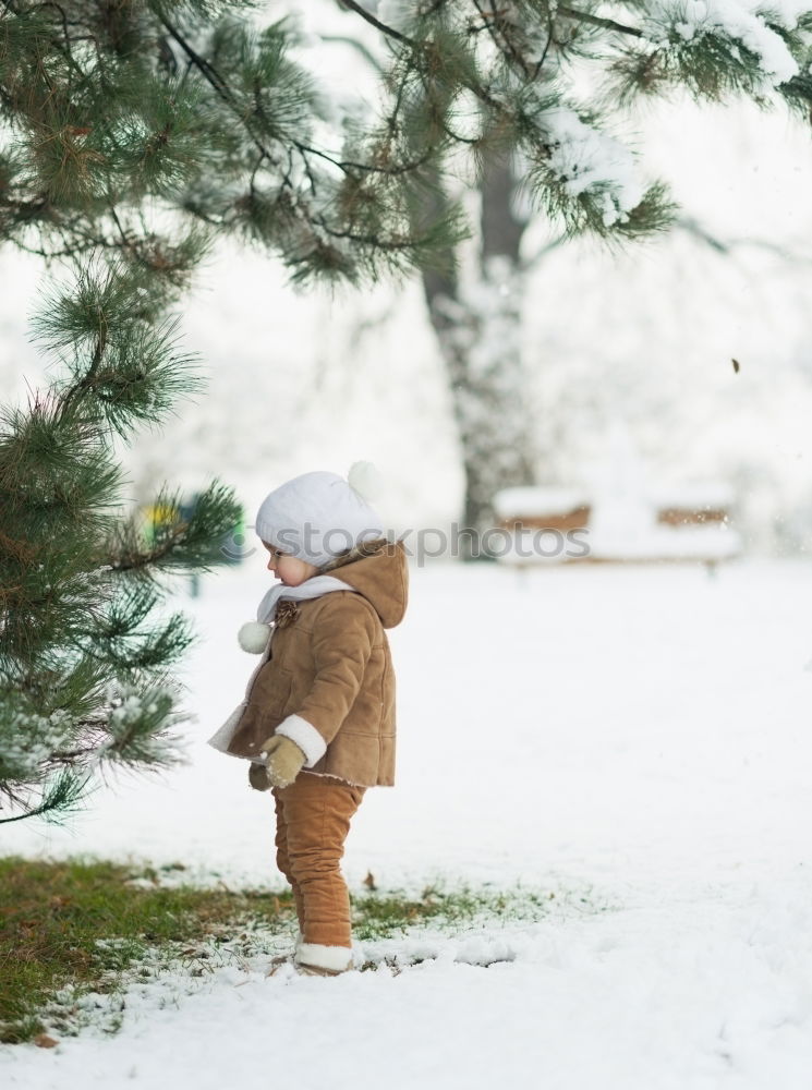 Similar – Image, Stock Photo Mother is playing with her little daughter outdoors on wintery day. Woman is throwing snow on her child. Family spending time together enjoying wintertime. Woman is wearing red coat and wool cap, toddler is wearing dark blue snowsuit