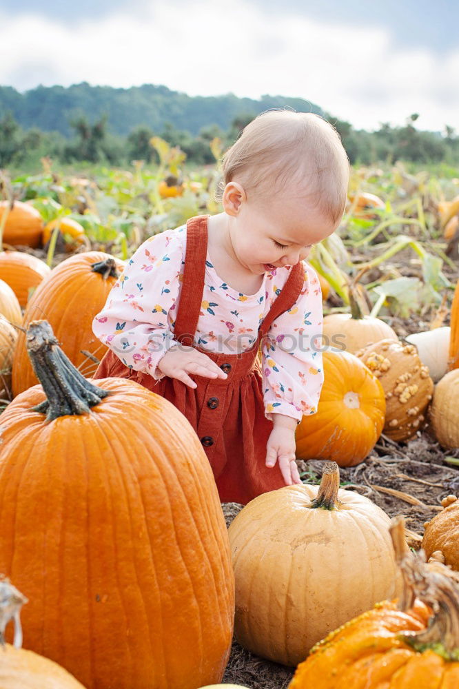 Similar – Image, Stock Photo Adorable girl todler embracing pumpkins on an autumn field