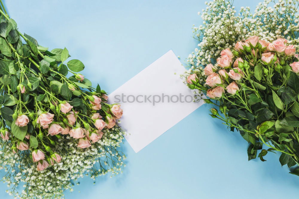 Similar – Image, Stock Photo Various flowers and leaves for bouquet