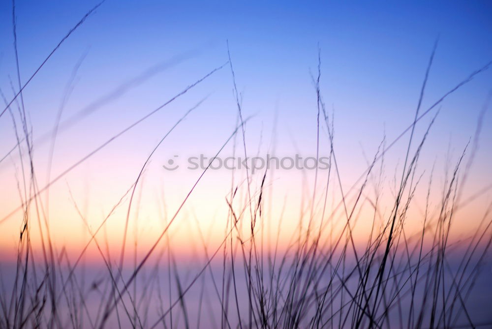 Similar – Image, Stock Photo sea-sunrise Sunrise Ocean