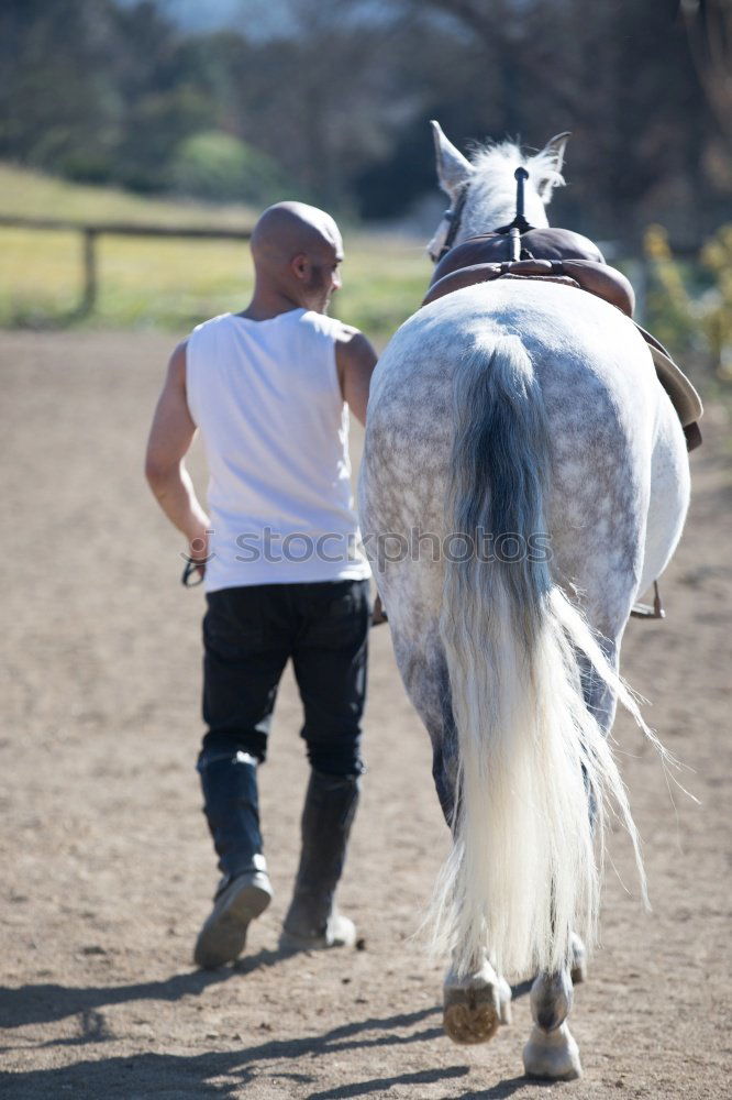 Similar – Image, Stock Photo Scratch out horse hooves