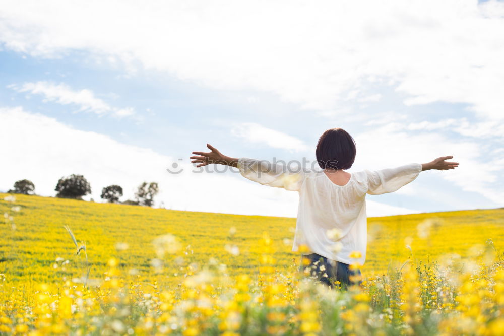 Similar – growth Canola