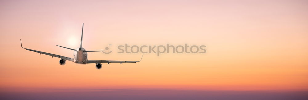 Similar – Image, Stock Photo Mute wire Nature Sky