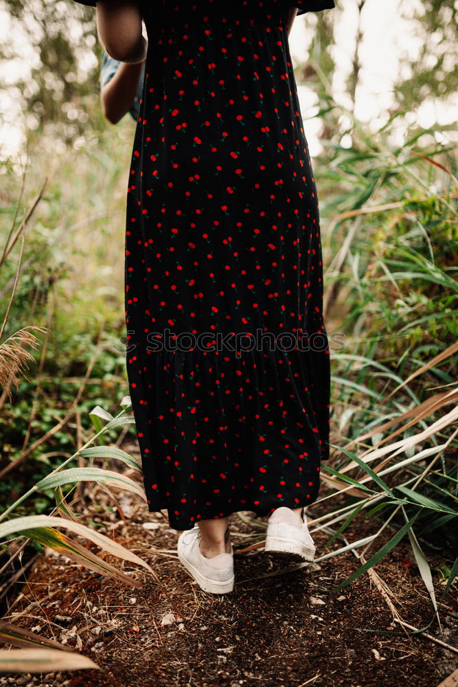 Similar – Image, Stock Photo Flowers in the wood