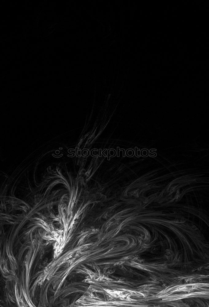 Similar – Image, Stock Photo Swan feather against a black background