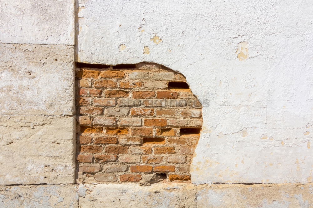 Similar – Wandtafelberg Haus Mauer