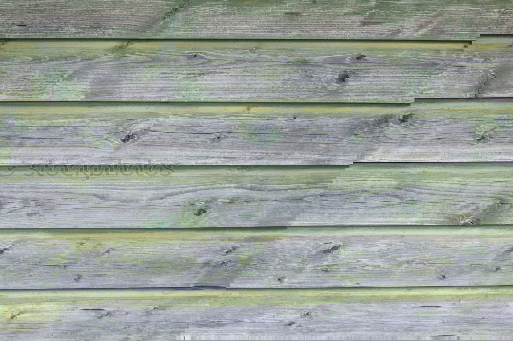 Similar – Foto Bild tuch auf steg Tuch Steg