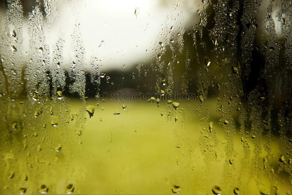 Similar – Image, Stock Photo surprised… Clouds Window