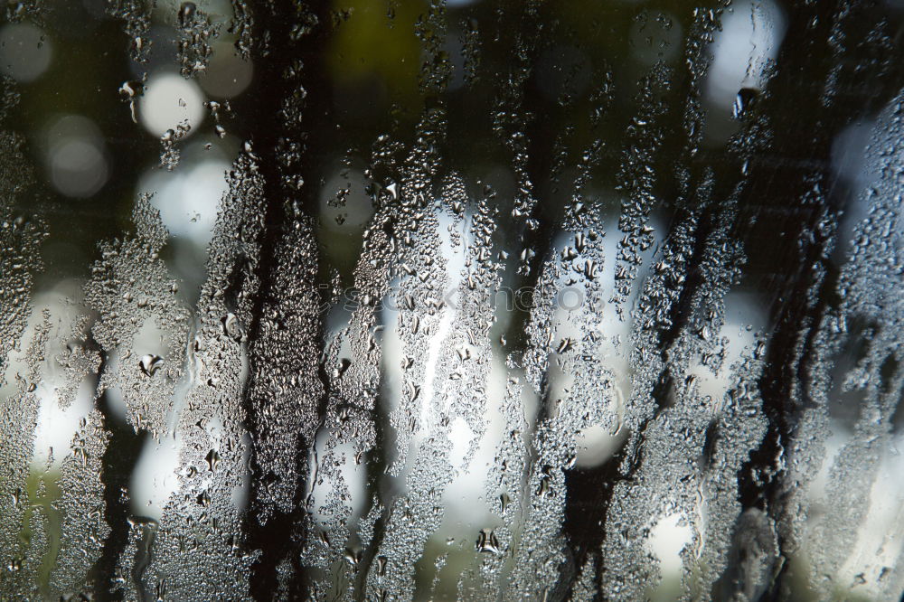 Similar – Image, Stock Photo Beads, in row Environment