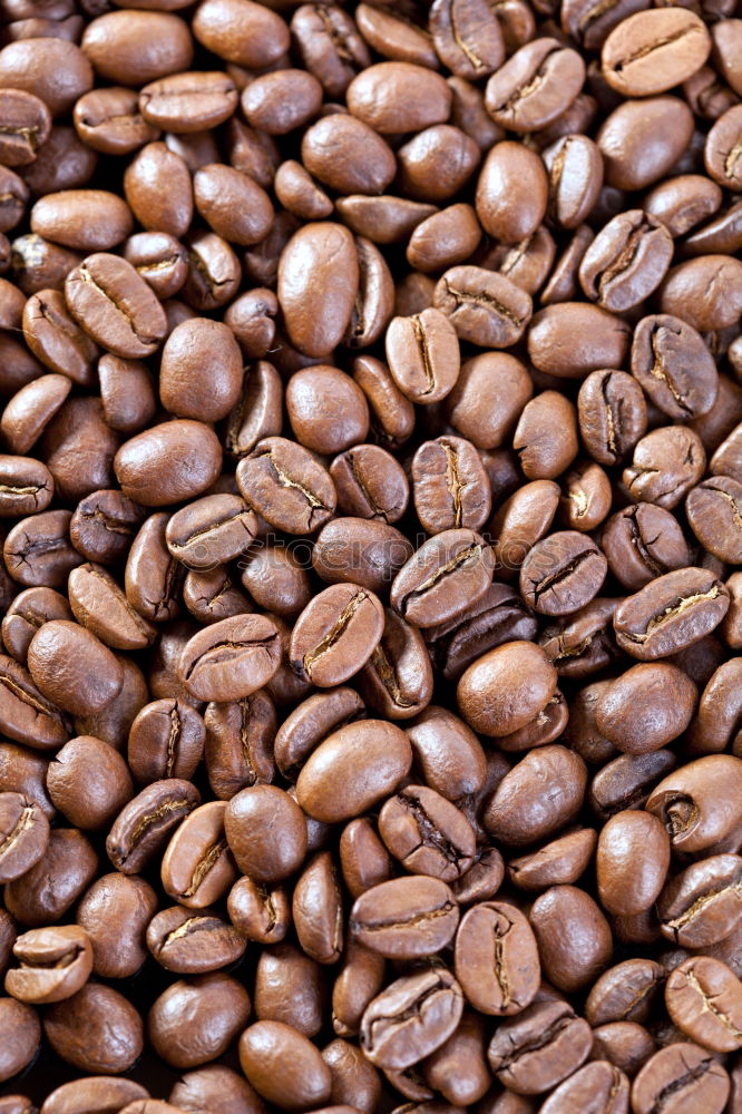 Similar – Image, Stock Photo coffee beans Food