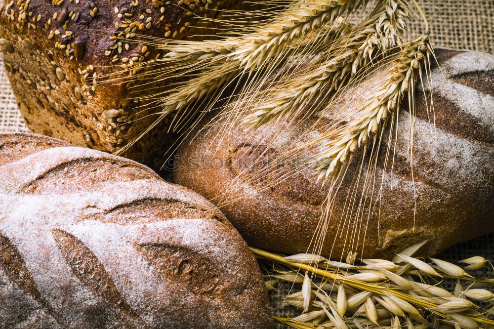 Similar – Backwaren Brezel Brötchen