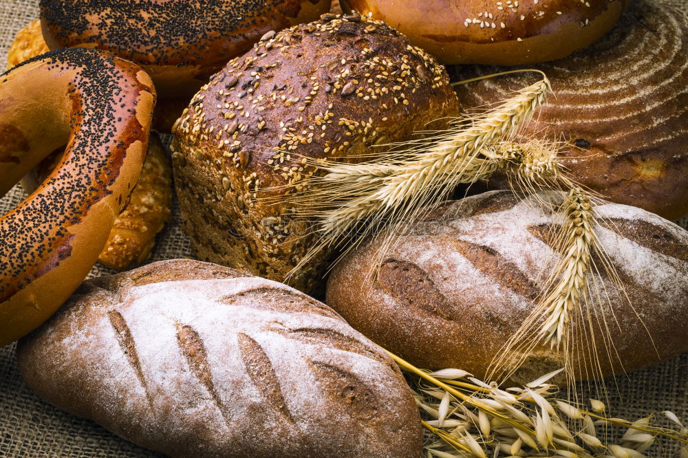 Many mixed breads and rolls.