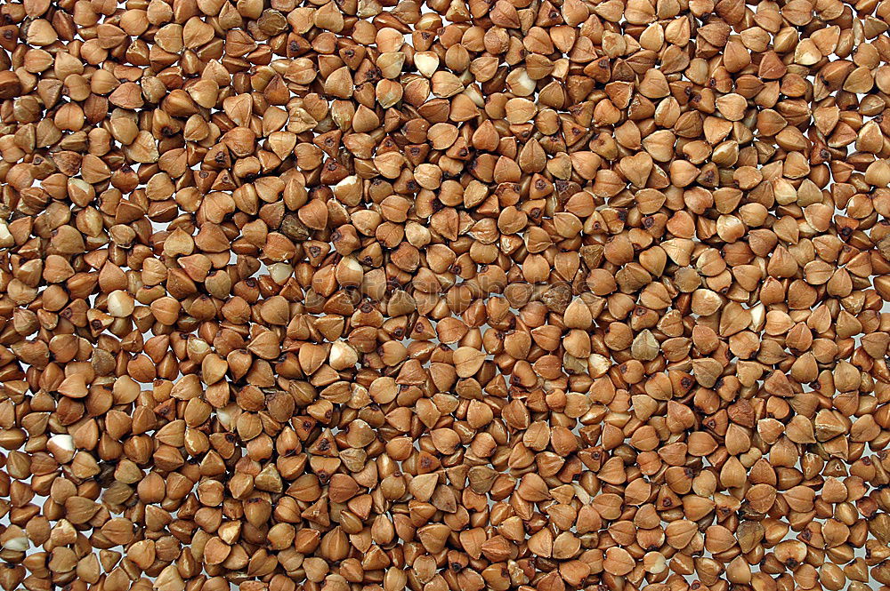 Similar – Image, Stock Photo #A# Nuts Food Nutrition
