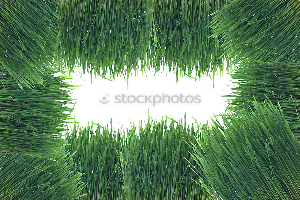 Similar – Image, Stock Photo Follow the green 2 Air