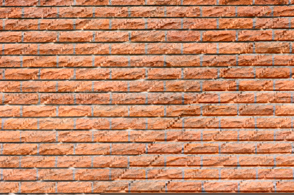 Similar – Image, Stock Photo Lack of parking