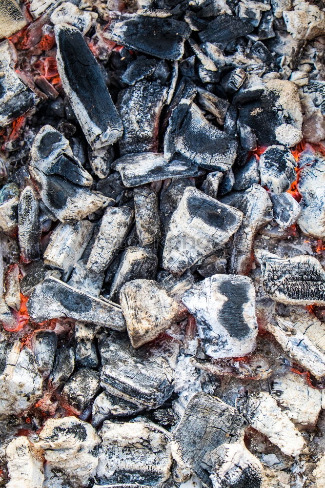 Similar – Image, Stock Photo barbecue coal Lunch Dinner