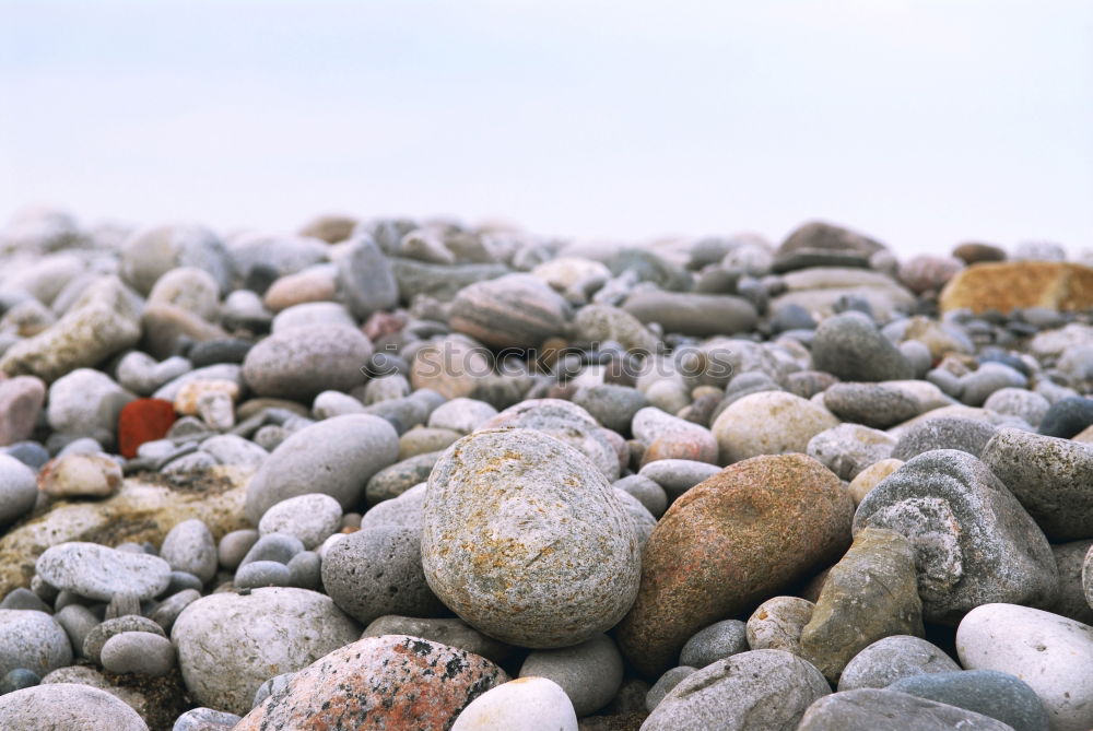 Similar – Image, Stock Photo stony beach Beach