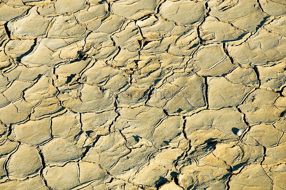 Similar – Image, Stock Photo Mini Grand Canyon Dry